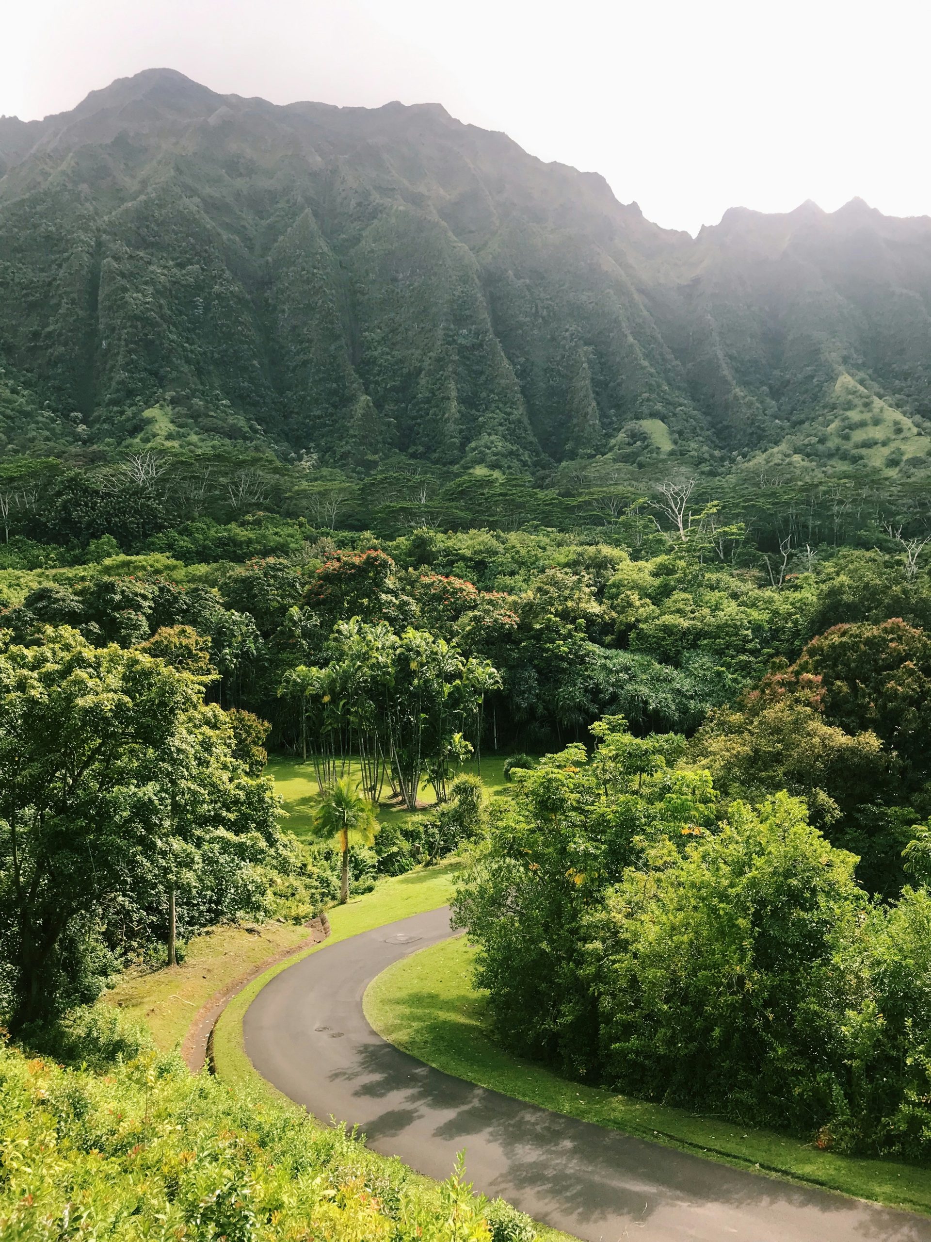botanical-gardens-jura-unsplash