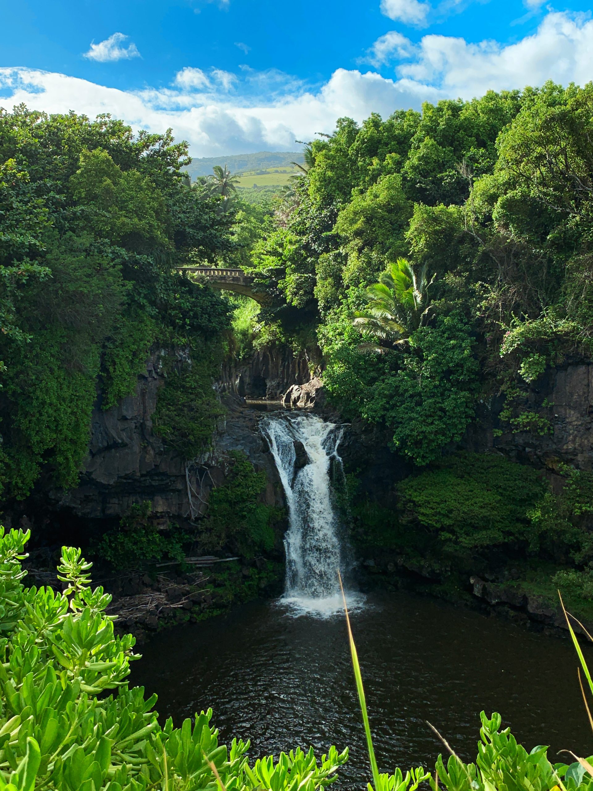 Kipahulu Waterfall by Tamara Bravo on Unsplash